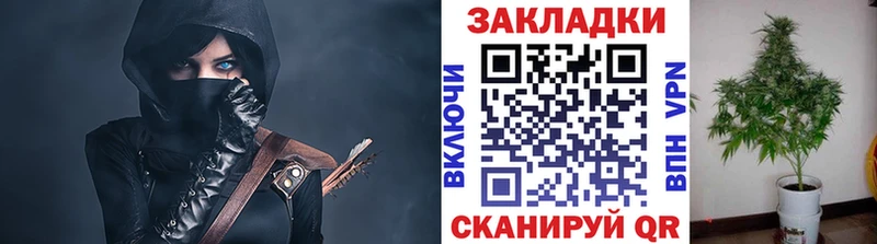 Как найти закладки Ногинск Галлюциногенные грибы  МЕГА tor  МЕФ  ГАШ  Alpha PVP  ГЕРОИН 
