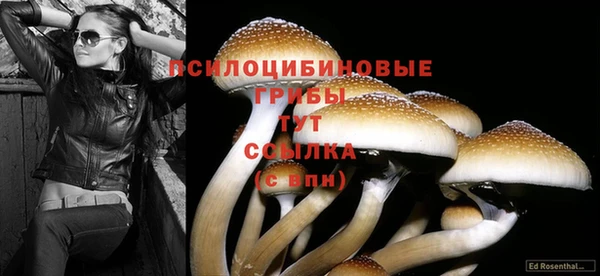 винт Балахна