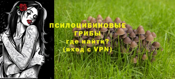 стафф Баксан