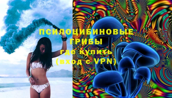 винт Балахна